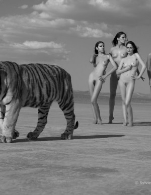 photos Hors categorie