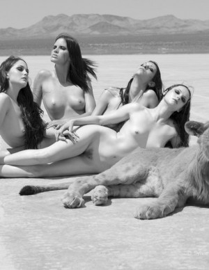 photos Hors categorie