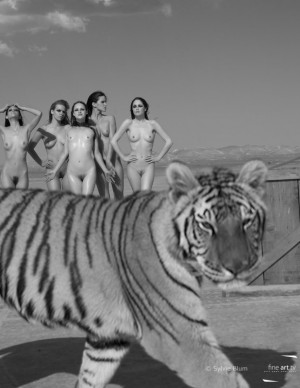 photos Hors categorie