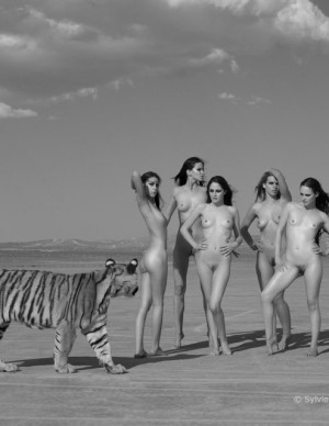 photos Hors categorie