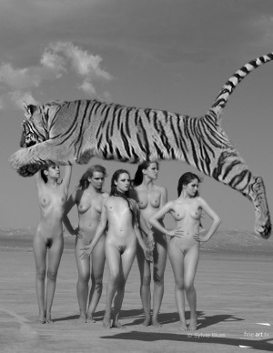 photos Hors categorie