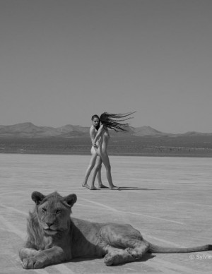 photos Hors categorie