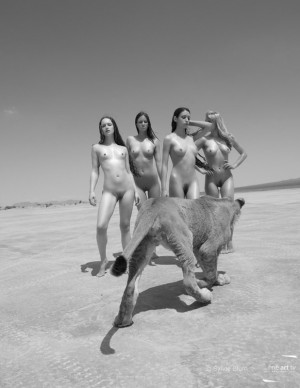 photos Hors categorie