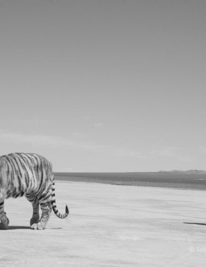 photos Hors categorie