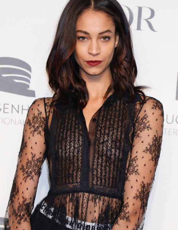 Chantal Monaghan au Guggenheim International Gala Pre-party