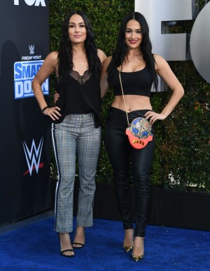 photos The Bella Twins