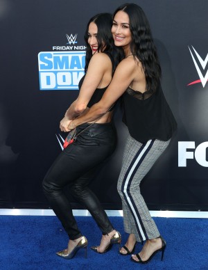 photos The Bella Twins