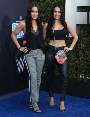 photos The Bella Twins