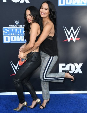 photos The Bella Twins