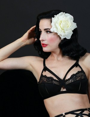 photos Dita Von Teese