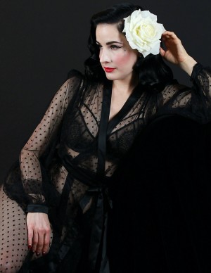 photos Dita Von Teese