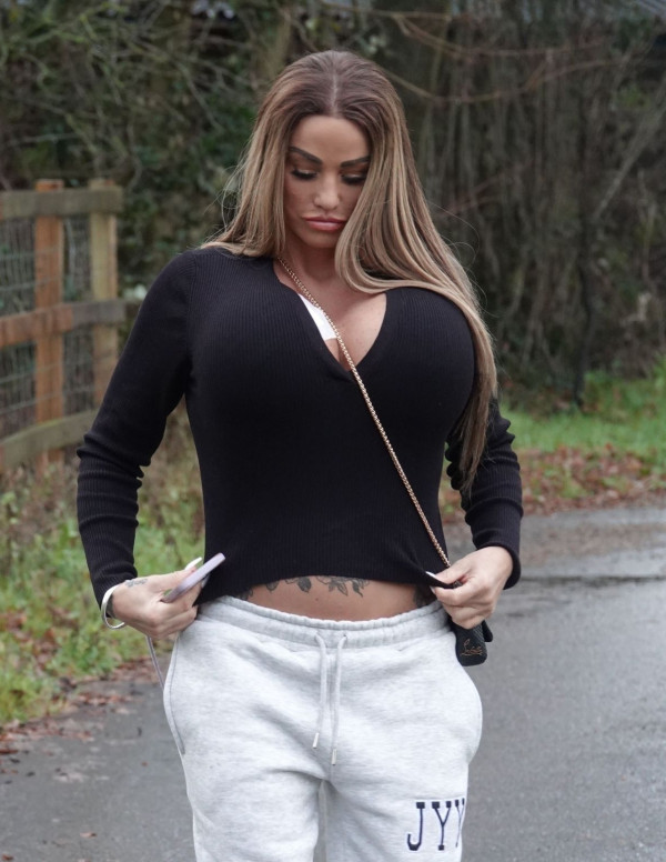 Katie Price en balade à Londres
