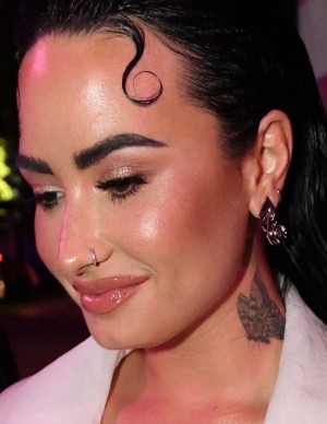photos Demi Lovato