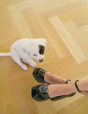 photos Charli D'Amelio