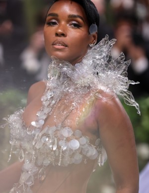 photos Janelle Monae