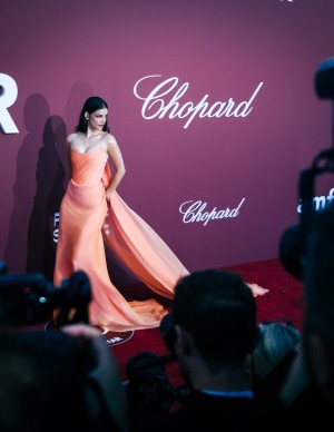 photos Barbara Palvin