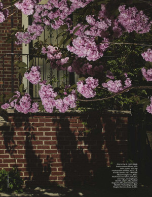 photos Phoebe Tonkin