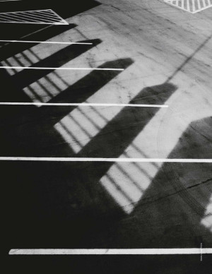 photos Phoebe Tonkin