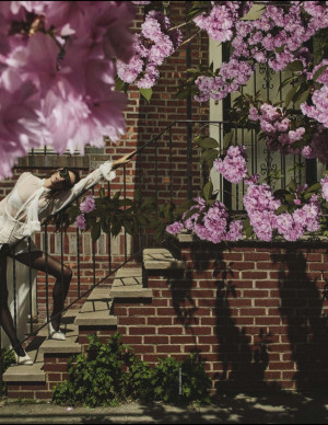 photos Phoebe Tonkin