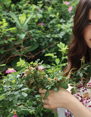photos Alexandra Daddario