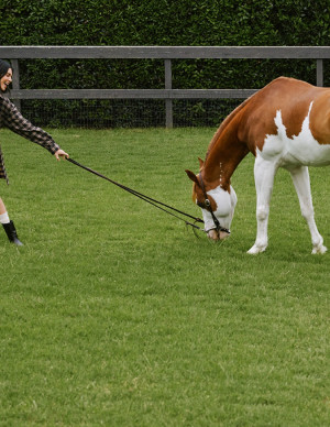 photos Kendall Jenner