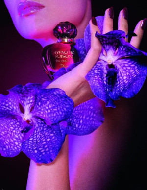 photos Monica Bellucci