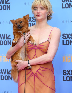 photos Haley Bennett