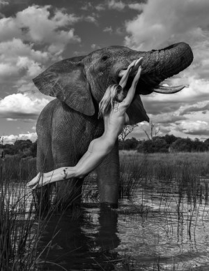photos Genevieve Morton