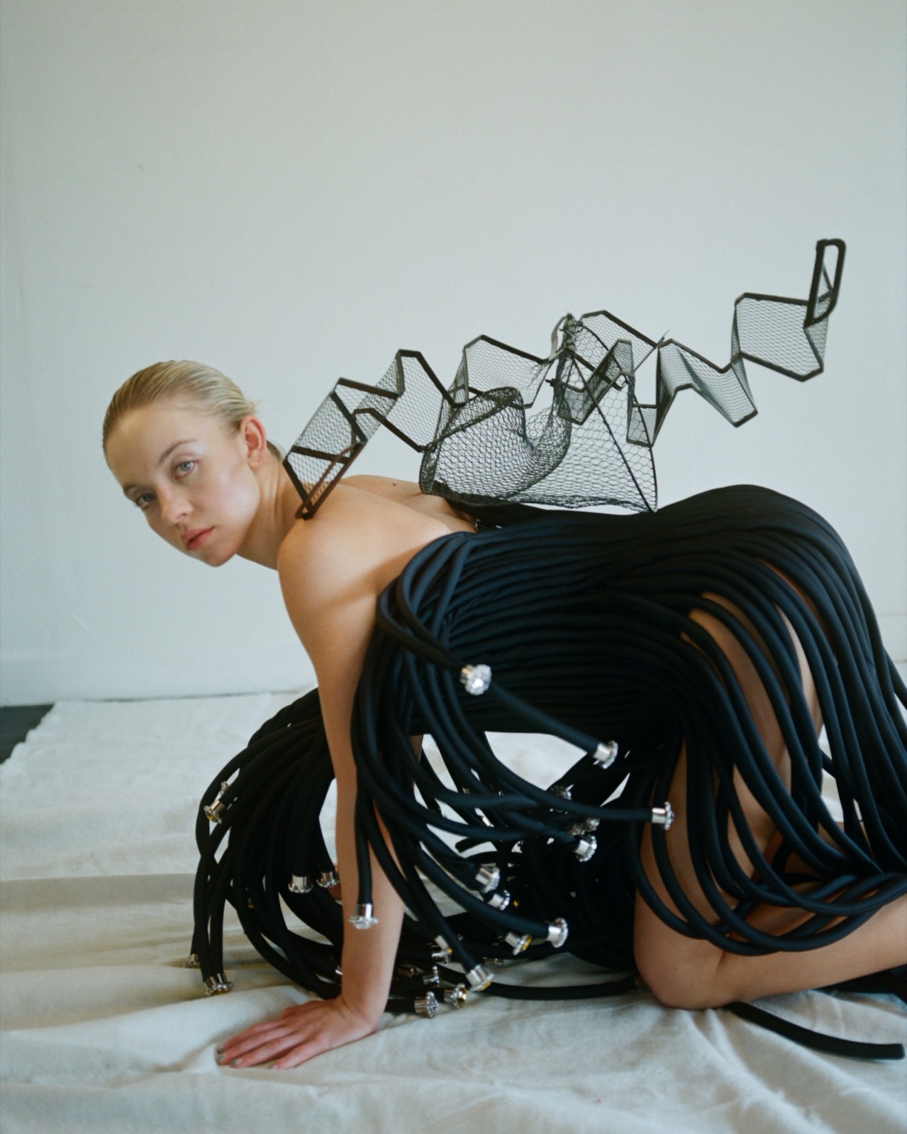 Sydney Sweeney à quatre pattes, robe noire ajourée chez Puss Puss Magazine