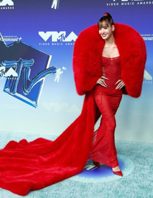 photos LiSA 